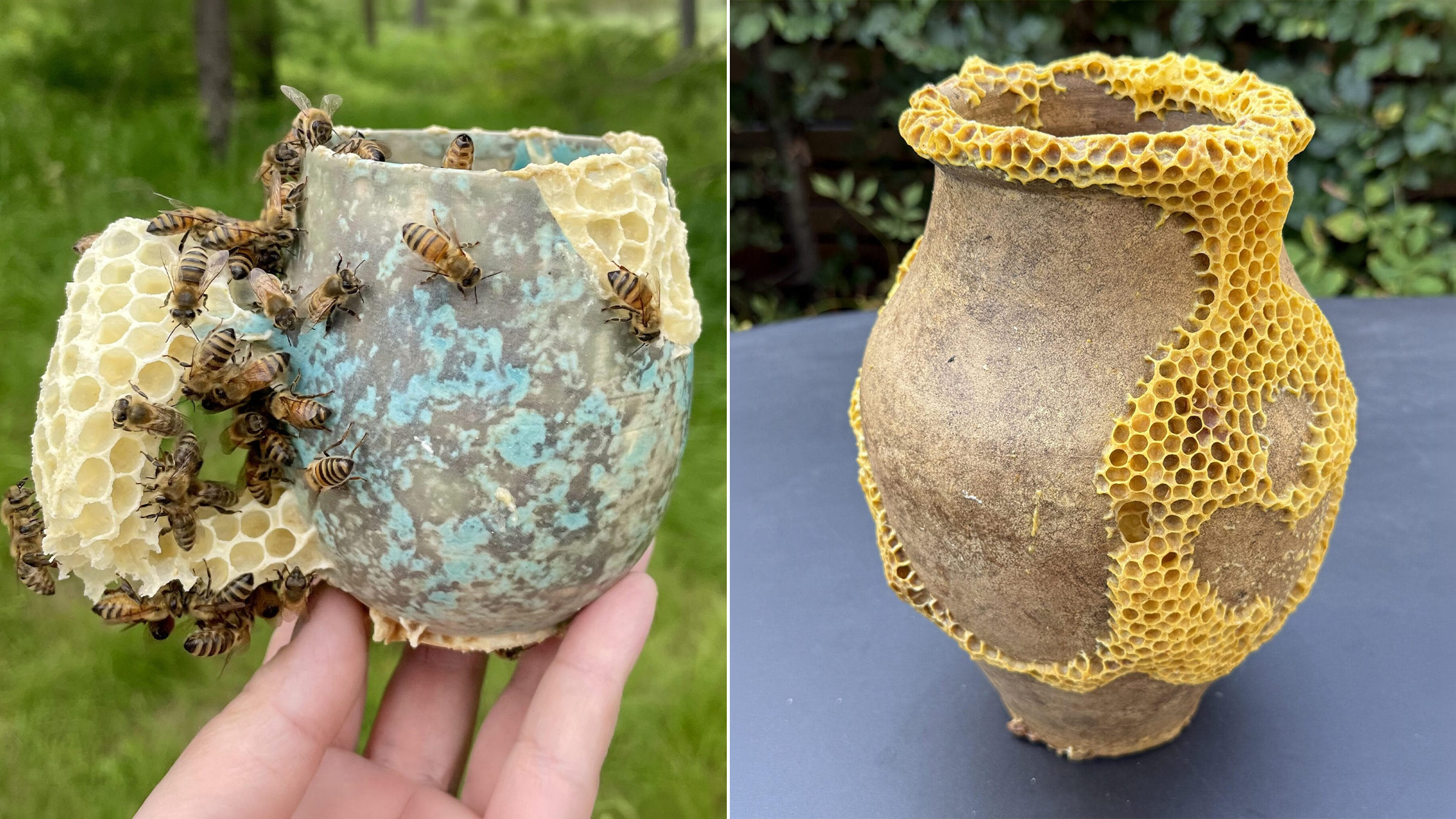 Ava Roth, série Kintsu-Bee, céramiques cassées réparées par des abeilles ouvrières de l'Ontario avec des alvéoles dorées