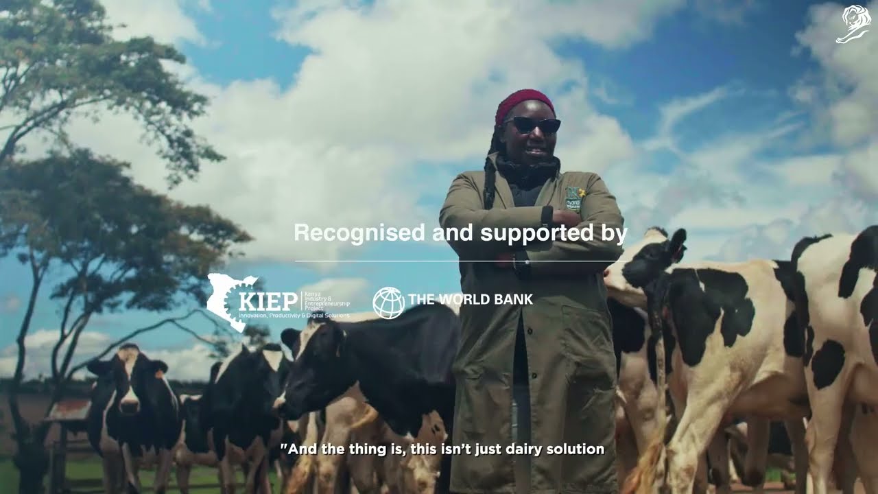 Plan d'ouverture du film Paid Sick Leave for Cows imaginé par The Partnership Agency Nairobi pour Too Good récompensé du Sustainable Development Goals Grand Prix aux Cannes Lions 2026, une éleveuse kényane souriante en parka kaki bonnet rouge et lunettes de soleil debout les bras croisés au milieu d'un troupeau de vaches laitières noires et blanches dans une prairie verte sous un ciel bleu nuageux, mention superposée Recognised and supported by avec les logos blancs KIEP Kenya Industry and Entrepreneurship Project et The World Bank