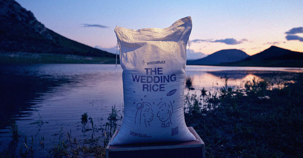Visuel principal de la campagne The Wedding Rice signée McCann Worldgroup Athènes pour Wikifarmer récompensée du Grand Prix Creative Business Transformation aux Cannes Lions 2026, gros sac de riz blanc de 25 kg posé sur une caisse en bois au bord d'un lac grec au crépuscule, étiquette bleu marine sérigraphiée Wikifarmer The Wedding Rice avec illustration au trait d'un couple de mariés stylisé sous une pluie de grains, montagnes en arrière-plan, eau calme reflétant le ciel mauve
