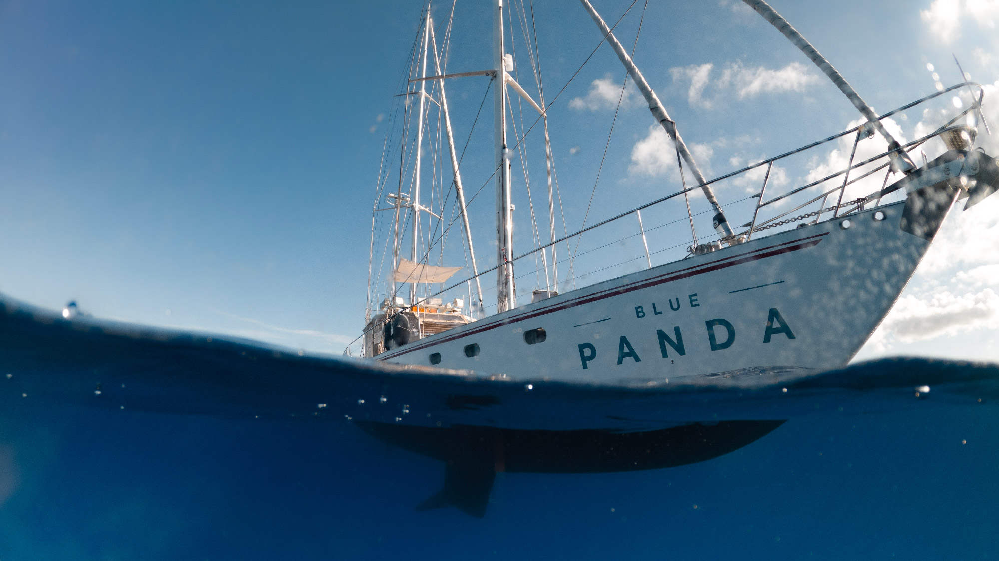 Le Blue Panda, voilier scientifique du WWF France amarré au Festival de Cannes 2026